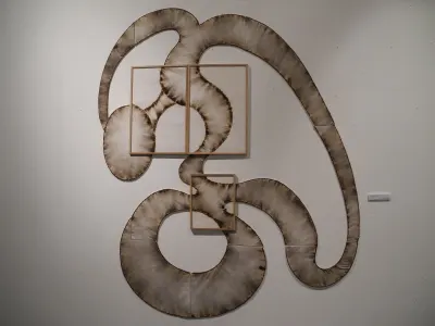 AMBI Artiste Plasticienne Madagascar "Scissiparité", 2004 Carton entoilé brûlé 200x 150
