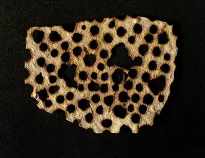 AMBI, née en 1978 " Dentelle ", 2013 Impression sur papier végétal Madagascar 40x50 cm